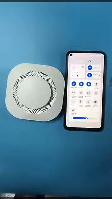 Smart Wifi Smoke Alarm And Fire Detector
