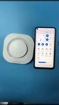 Smart Wifi Smoke Alarm And Fire Detector