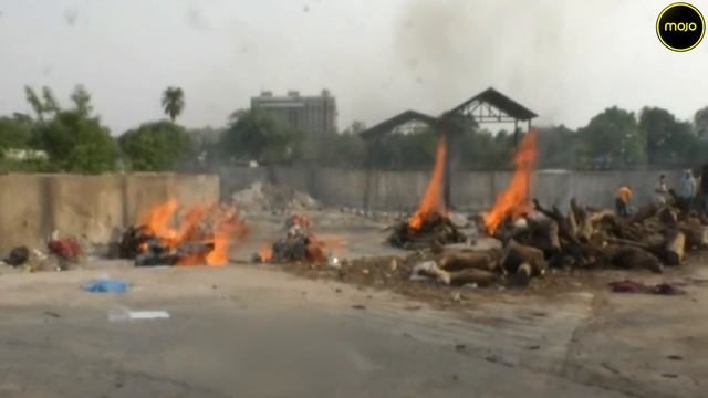 Bhopal | Funeral Pyres Burn 24/7 | Opposition Questions COVID Data
