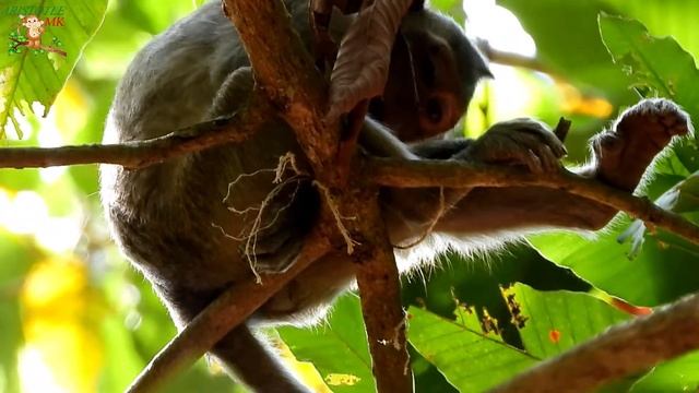 MILLION PITY SEEN SMALL NANDA VERY SAD GET STRAP RUN FAST FOLLOW TEAM CAMERA MAN NEED HELP |