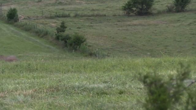28 Kill Shots from 2021 - Coyote Hunting - East Tennessee