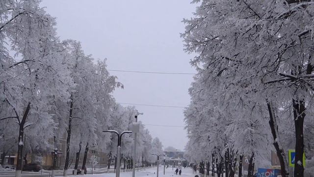 город уфа аллея бульвар славы .зимняя красота от изморози. 2 декабря 2022.проспект октября