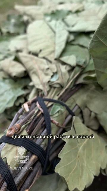 Дубовый веник Дубвеник.ру Dubvenik.ru