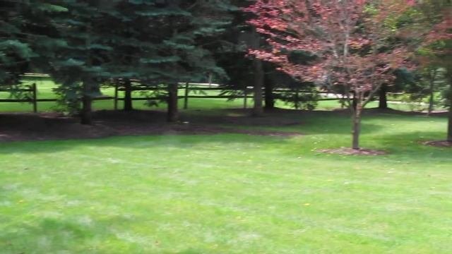 Front Area