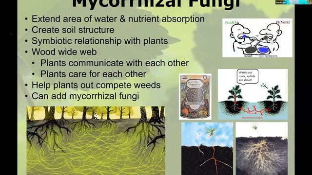 Colossal Compost, Miraculous Mulch, Spectacular Soil