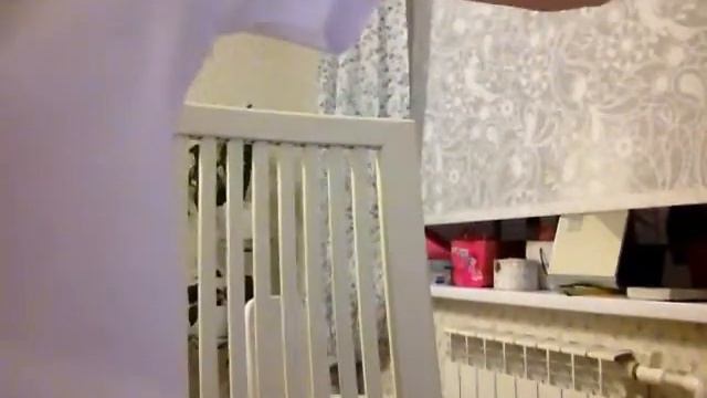 шок!!! котёнок поменял цвет?!