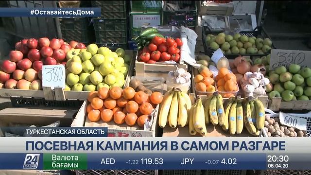 Проблемы с экспортом продукции возникли у аграриев Туркестанской области