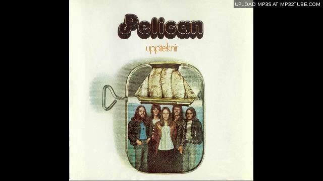 Pelican - Sunrise to Sunset