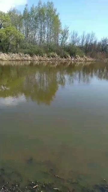 Отдых на рыбалке
