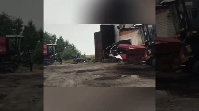 Уборка пшеницы урожая 2019 (амурская область)