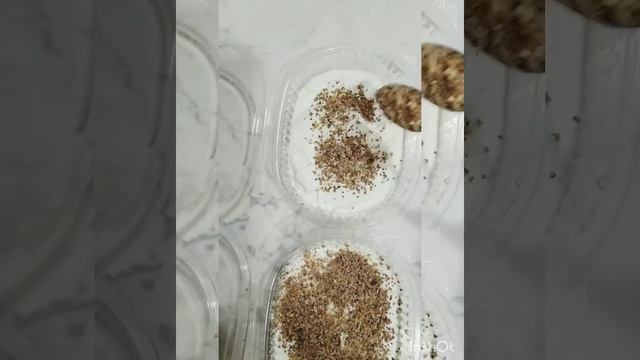 Творожная масса