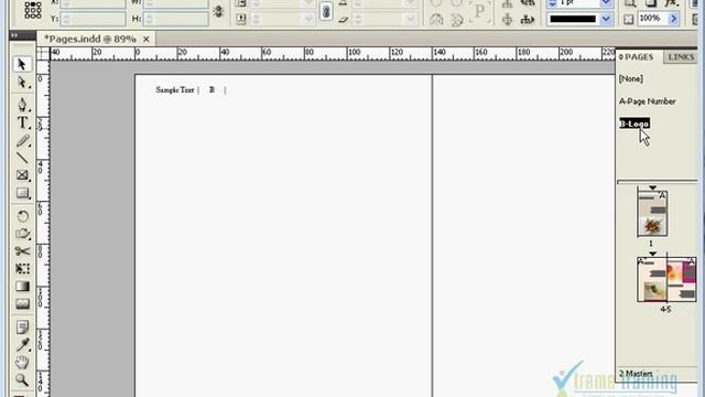 Adobe Indesign CS4 (TAMIL) MANAGING PAGES==Master Pages-005.flv