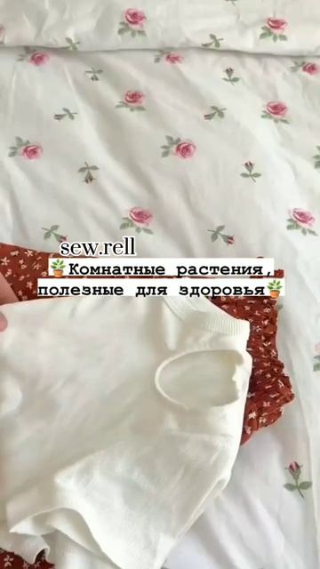 Комнатные растения, полезные для здоровья 🌿