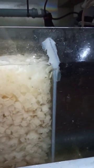 Полностью переделываю сампы 😋