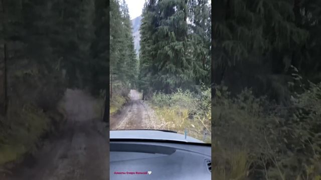 Озеро Кольсай. 6:00 утра Гостиничный комплекс «Кольсай Номад» #казахстан #алматы #природа #кольсай