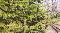 Я устала от безработного мужа, который только и делает, что орёт и угрожает разводом