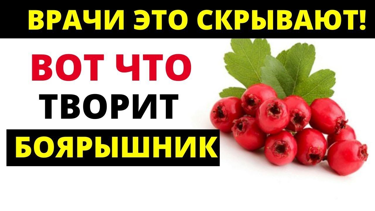 ВРАЧИ ОБ ЭТОМ МОЛЧАТ! Что творит Боярышник с организмом.