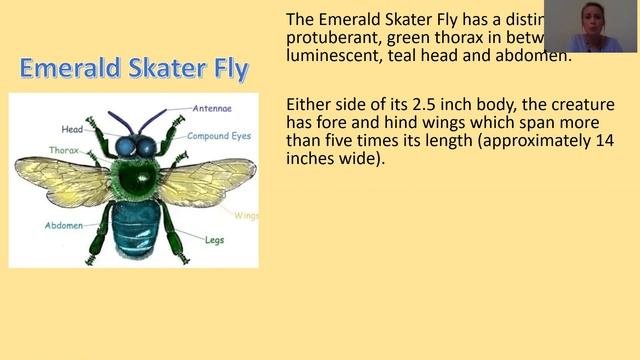 Year 6-Day 5-English