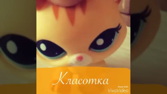 My Morning(моё утро)|Пончик Жулик|