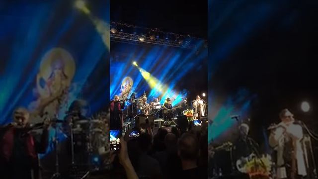День радости, Аквариум в ДК им. Горбунова 22.12.2019