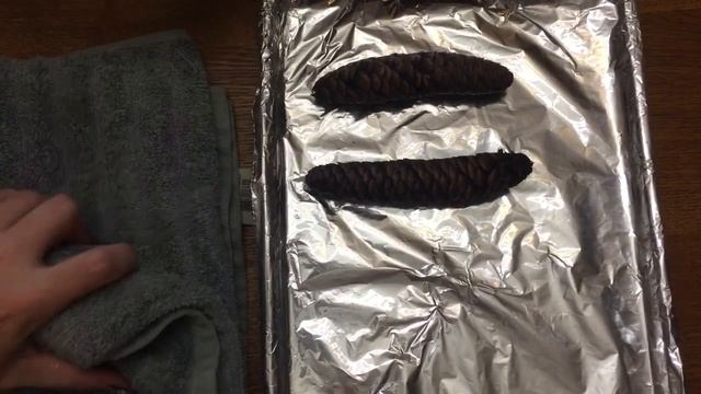 Christmas Crafts: How to Dry and Open Pine Cones