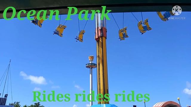 So Much Fun At Ocean Park (Part 1)// Divina Salvador Vlogs