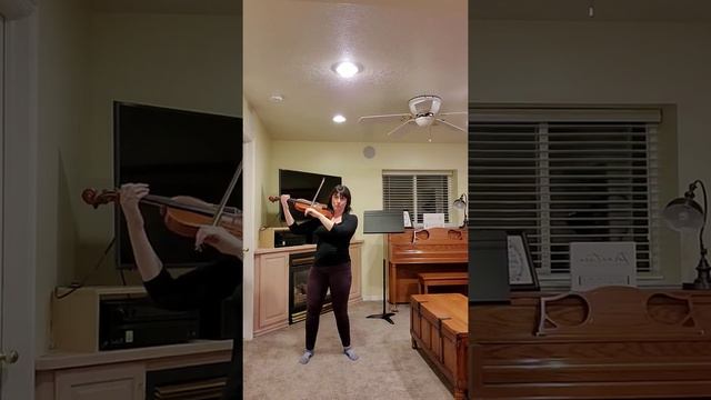 Posture When Playing Violin/Viola
