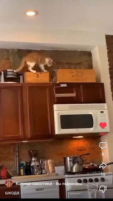 1000004534.mp4