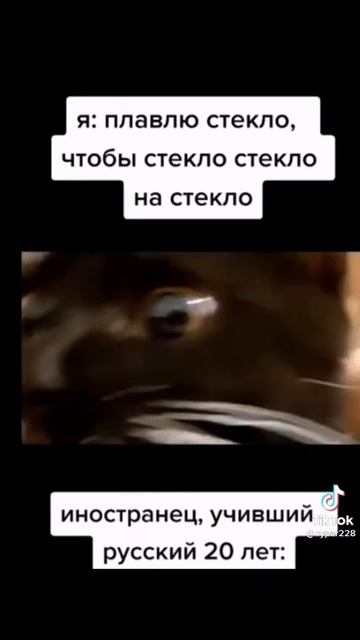 ТИК ТОК ВИДЕО РУССКИЙ 👅
