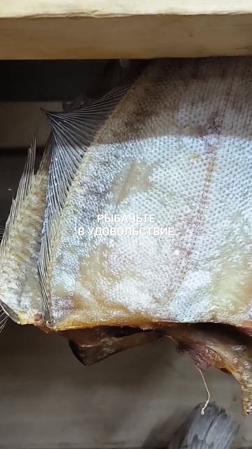 В Брянск сегодня отправка вяленого ерша.