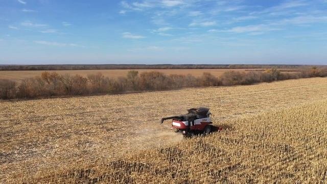 Комбайн на уборке урожая кукурузы 2020 ✅