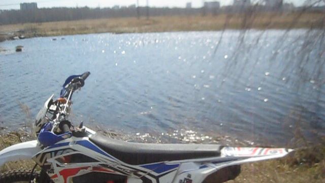 MVI_5946   Лебеди в Челябинске
