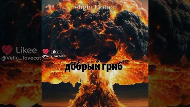 огромный гриб