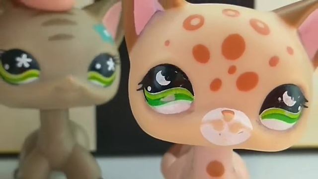 •|~Copycat~lps клип~(музыкальное видео)