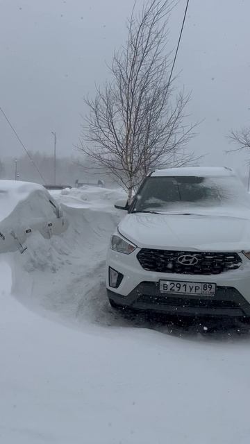 Погода на Ямале 20 апреля, приезжайте к нам на север, говорили они🤣😅