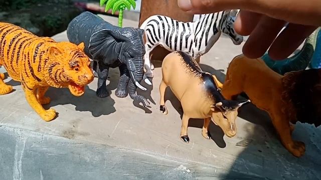 Wadidaw! Nasihat Agar Sukses Dimasa Depan dari Singa Dinosaurus Kerbau Gajah Harimau Kuda