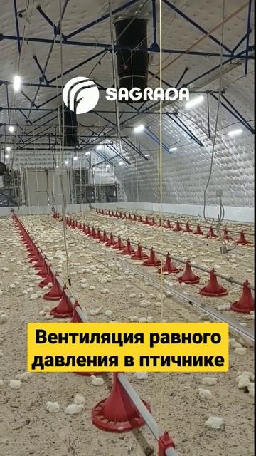 Система вентиляции равного давления для птичников | Оборудование SAGRADA #shorts #птицеводство