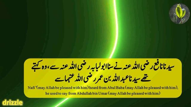 The Prophet ﷺforbade killing snakes | Muslim Hadees 5830 - Chapter 39
