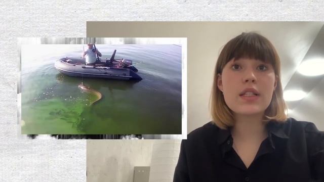 Сом размером с человека