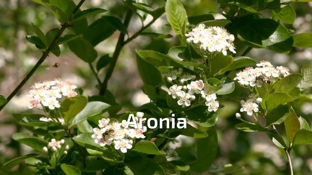 Bedners TV - Wet Areas