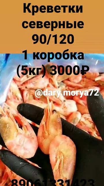 Креветки северные 90/120