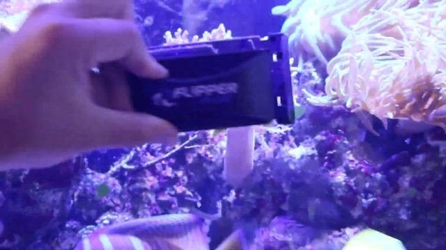 My Top 5 Reef Aquarium Product Deals with Amazon Prime in 2023