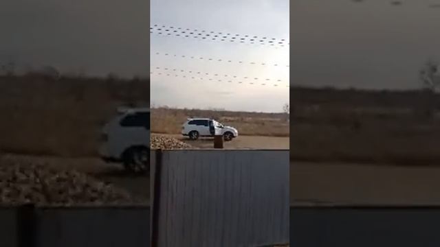 ПОЛИТИЧЕСКОЕ ПРЕСЛЕДОВАНИЕ ГРАЖДАНСКОГО АКТИВИСТА АЛИБЕКА МОЛДИНА