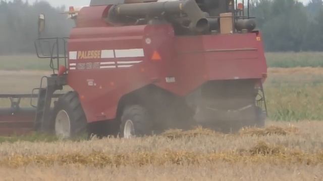 ОАО Журавлиное уборка зерна 2018