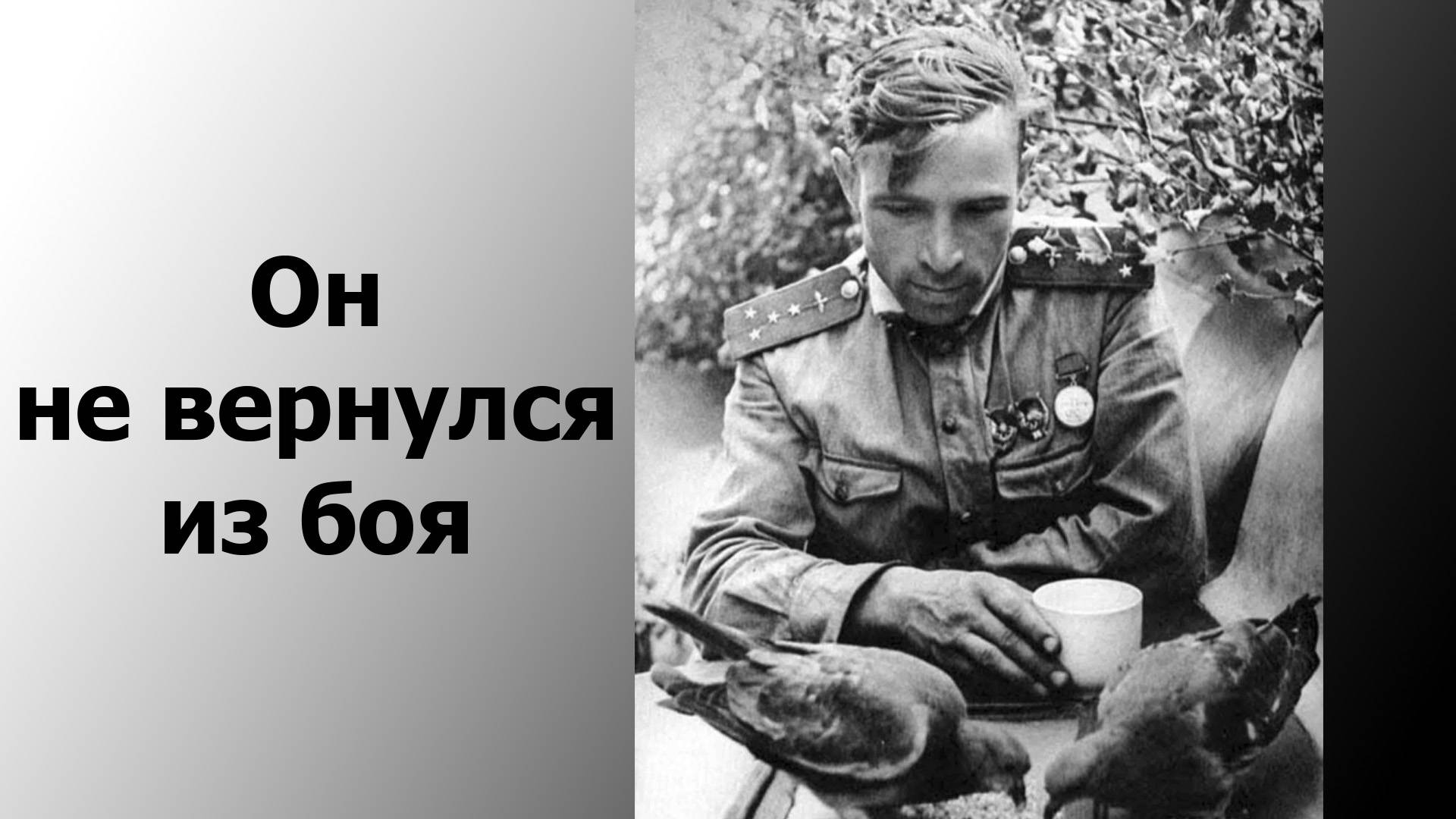 Он не вернулся из боя