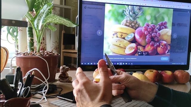 Ноябрська,Талгарка,Чоюро та Анжеліно на 1 грудня Дегустація