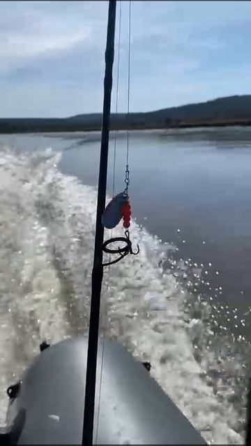 1000035591.mp4