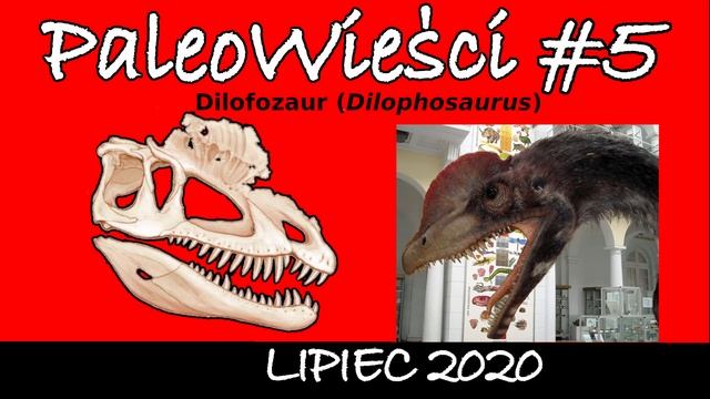 Najmniejszy znany dinozaur nie był dinozaurem | Nowe informacje o dilofozaurze | PaleoWieści #5