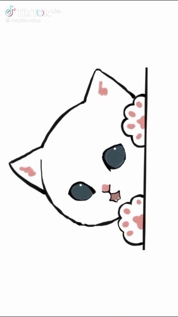 ДР