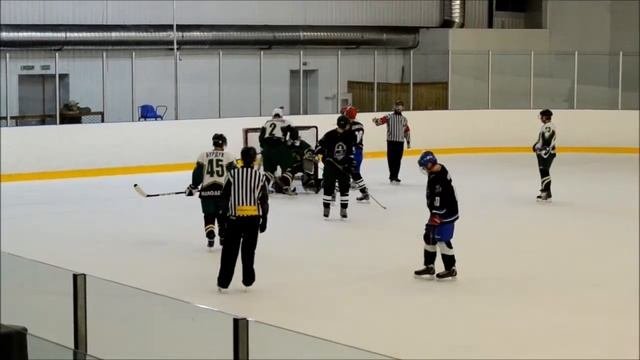 ЛХЛ: Epam Ice Needl'z Vs Ледовые Пингвины - 0:6